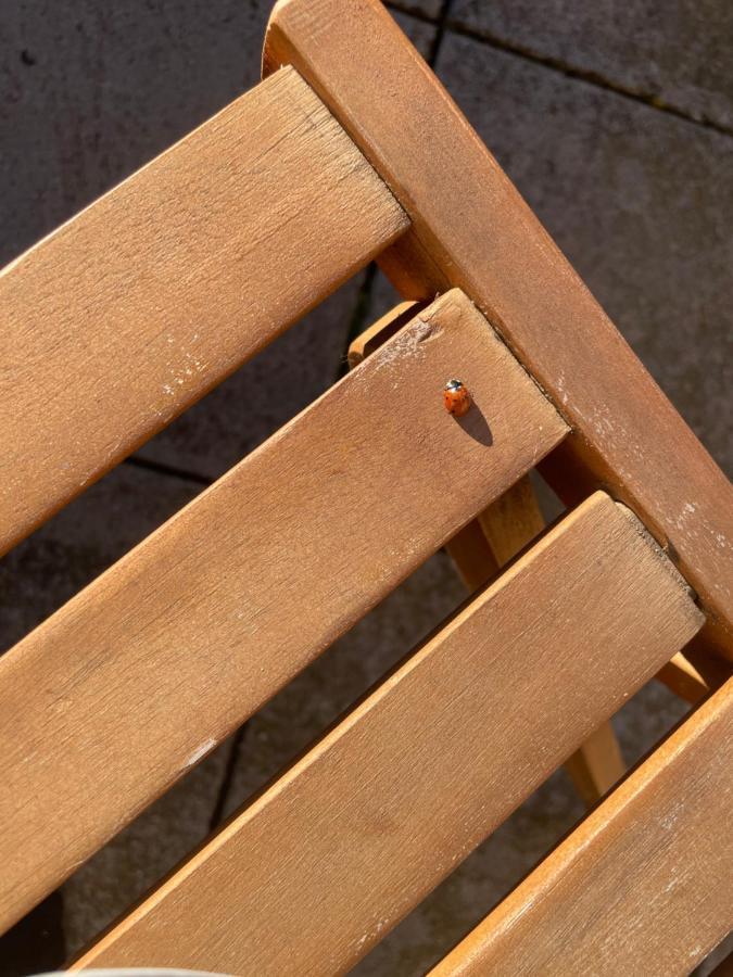Duplex 6 Plazas Para Desconectar De La Rutina Oliana Екстер'єр фото